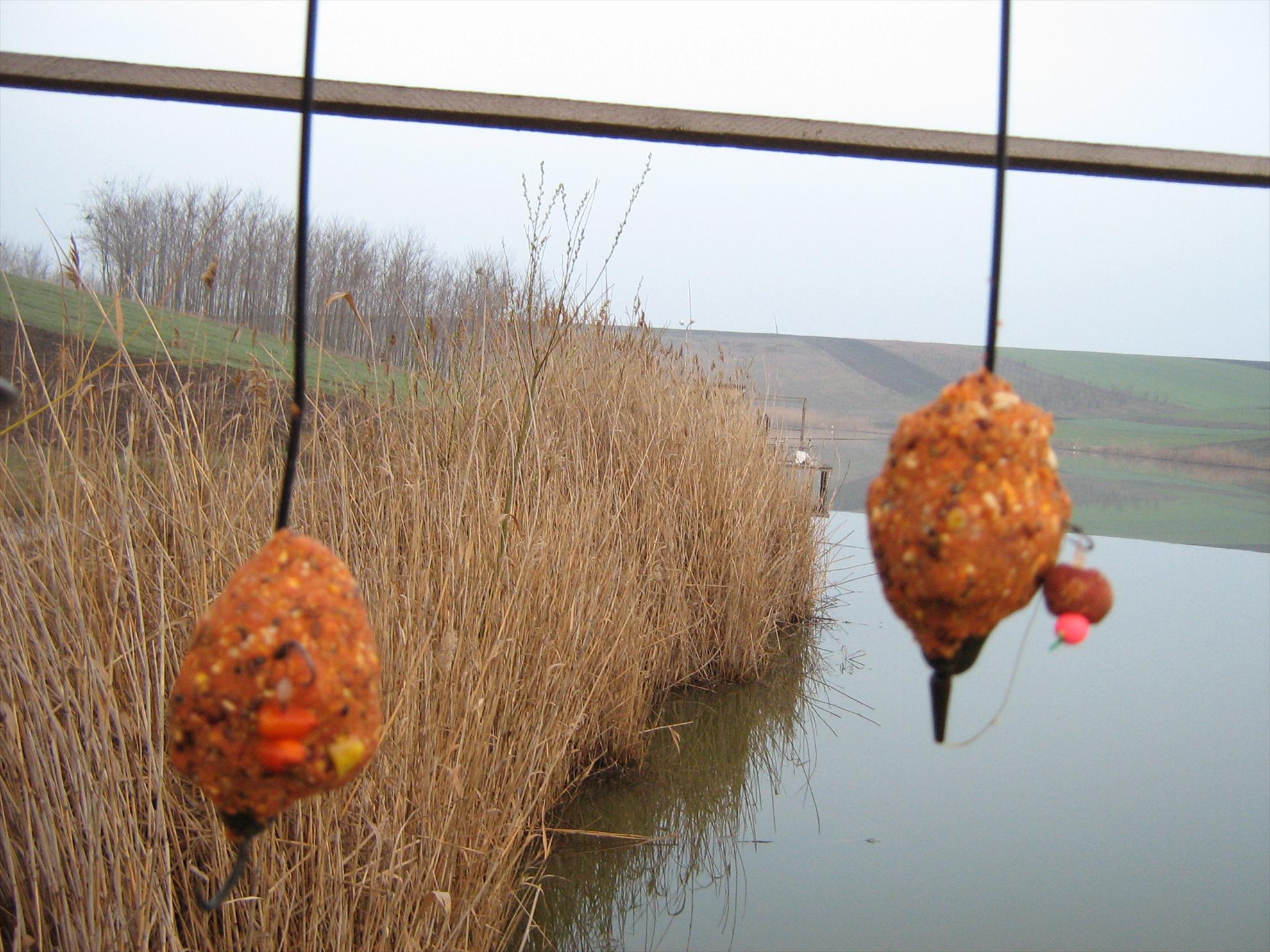 Magura 9 31 - 31 mar. - img0072.JPG